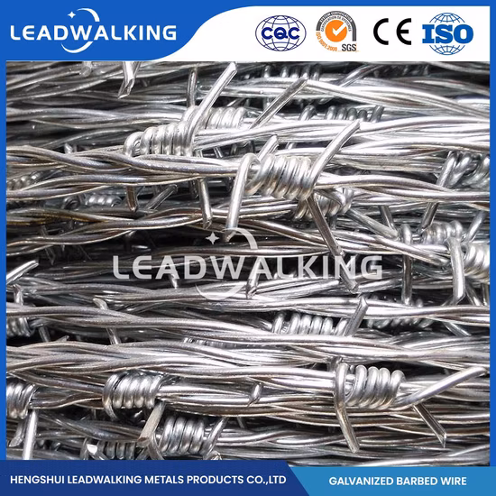 Leadwalking Mayorista de alambre de púas de púas ODM Alambre de afeitar verde personalizado China Sistema de cercado de seguridad de longitud de aguja de 30 mm Alambre de púas galvanizado